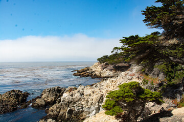 Fototapeta na wymiar Fog on the Pacific Ocean in Monterey, California
