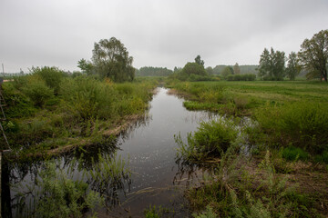 river Sesava near Jelgava town in Latvia, Zemgale. Fresh green grass in overcast rainy spring day