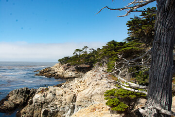 Fog on the Pacific Ocean in Monterey, California