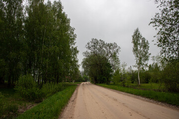 Fototapeta na wymiar road in Latvia countryside. Zemgale flat landscape with fields and forest trees. Road from Jelgava town to Stalgene village