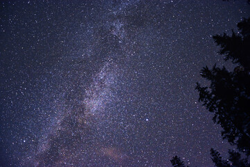 Himmel, Milchstraße, Nacht, Sterne, Planeten, Satelliten, Starlink, Andromeda, Andromedanebel,...