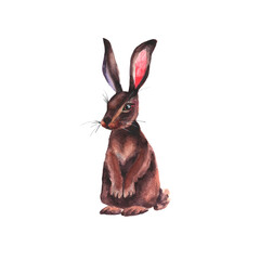 Watercolor standing hare isolated on white background. Easter bunny rabbit hand drawn illustration. - obrazy, fototapety, plakaty