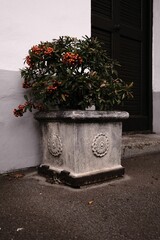 Decorative stone pot for a plant
