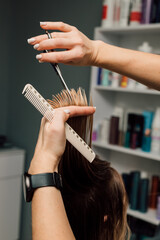 A hairdresser cuts a client's hair.In hands of the hairdresser scissors and hair