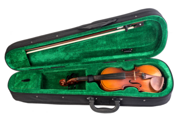 violin in the case of green
