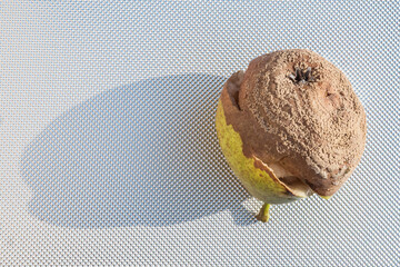 Image of a pear on a metal background