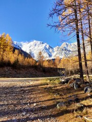 autumn in the mountains