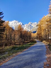 autumn landscape in the mountains