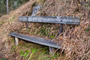 Fototapeta premium eingewachsene Parkbank