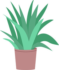 Aloe vera plant in pot semi flat color raster object. Houseplant. Full sized item on white. Growing succulent at home simple cartoon style illustration for web graphic design and animation