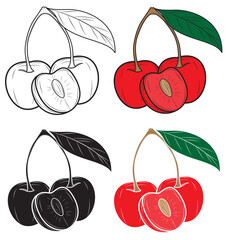 Set of Realistic cherry isolated on white background. Vector illustration.