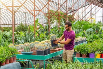 Young gardener caucasian male smiling holding pot cactus Astrophytum ornatum. Growing and caring for plants and flowers in a greenhouse, selling plants. industrial scale.