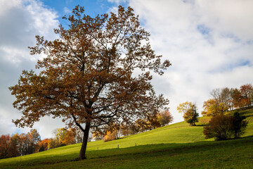 
Uriage les Bains, Isère, Rhône-Alpes, France, 20 11 2022 autumn landscape from the crests of Uriage, rural landscape, countryside landscape