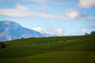 Obraz premium Uriage les Bains, Isère, Rhône-Alpes, France, 20 11 2022 autumn landscape from the crests of Uriage, rural landscape, countryside landscape