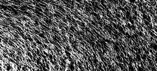 Scratched Grunge Urban Background Texture Vector. Dust Overlay Distress Grainy Grungy Effect. Distressed Backdrop Vector Illustration. Isolated Black on White Background. EPS 10.
