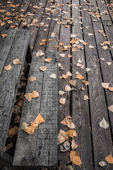 Foliage on the stairs. Yellow leaves on a wooden background. Texture of boards.