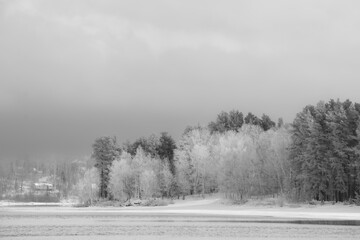 Canadian forest lake after the first snows of November. Province of Quebec