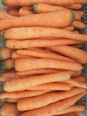 Carrot (Daucus carota L) is a biennial plant, family Aplaceae. Carrots are very beneficial for eye health. Contains vitamins A, B1, B2, B3, B6, B9, C, calcium, iron, phosphorus, potassium, magnesium.