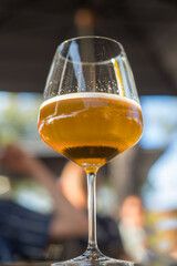 closeup of draft beer in wine glass