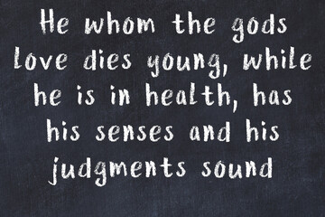 Chalk wise inscription on black chalkboard © iushakovsky