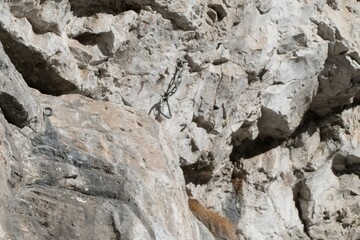 rock climbing limestone cliff in dolomites