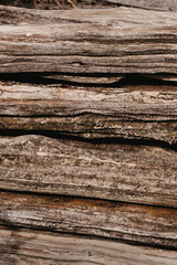 Vertical rough background from old rotten boards. Unpainted old boards served as a fence. Unpainted rotting wood. Free space for text