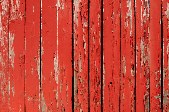 Background of old wooden boards painted with red cracked paint. Old fence or building wall made of wood with peeling red paint. Free space for text. Building in need of repair or abandoned area