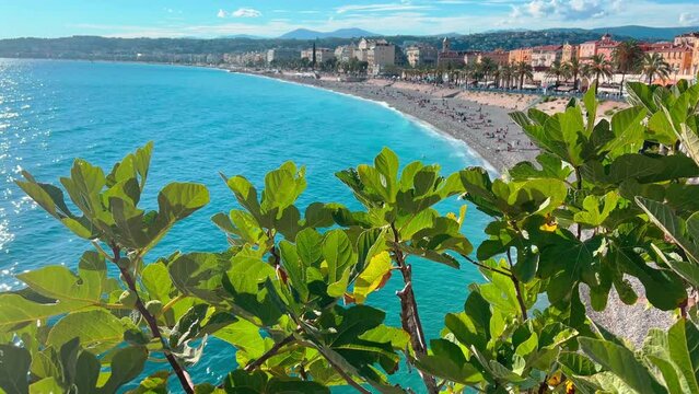 France, Nice, Top View Of The Famous English Promenade With Beach On Azure Sea Through The Leaves Of The Fig Tree At Sunny Day, A Sunbathing People In The Beach, Car Traffic, Flags Different Country