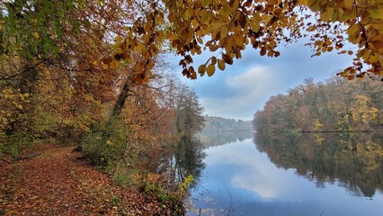 Fototapeta na wymiar Riverside by autumn forests 