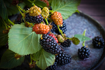Fresh blackberries on old background