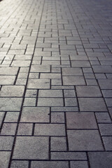 vertical shot of stone block pavement in the city center with evening light