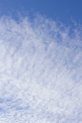 Fototapeta premium vertical image of white textured clouds in the blue sky