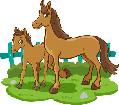 horse and foal cartoon vector