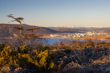 Obraz premium Autumn landscape. View from the hill to the sea bay and the port city. Beautiful nature of Siberia and the Russian Far East. Travel in the Magadan region. Surroundings of the city of Magadan, Russia.