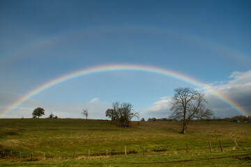Naklejka premium Arc-en-ciel dans un champ