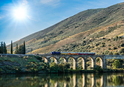 bridge, classic, concept, douro, landmark, over, passing, pocinho, portugal, touristic, train, transport, travel, valley, vineyard