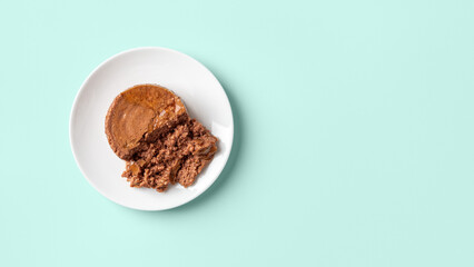 Soft pate for cat on a feeding plate over pastel mint background. Portion of wet pet food of minced...