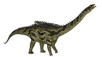 Fototapeta na wymiar Agustinia dinosaur - 3D render