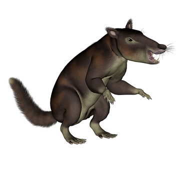 Cronopio dentiacutus, prehistoric mammal - 3D render