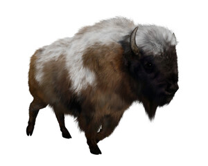American bison with snow - 3D render © Elenarts