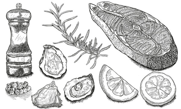 vector salmon steak hand drawn illustration. rosemary, lemon, fish elements