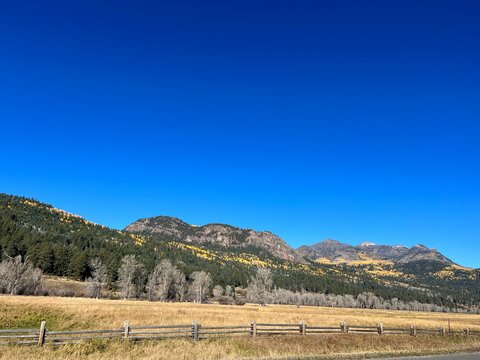 Autumn Landscape In Wolf Creek Pass, Colorado