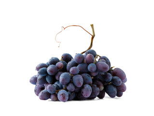 Bunch of grapes on a white background with water drops