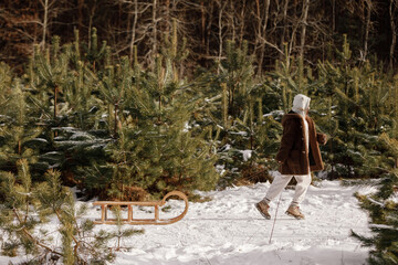 Happy little girl is carrying a fir tree on a wooden sled. Smiling child in warm clothes sledding, having fun and play in snowy forest. Kid sled in snowy park in winter. Family Christmas vacation