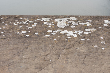 Ancient brown shabby surface with mould stains	
