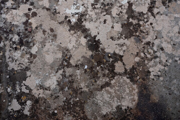 Old dark shabby wall with mould stains