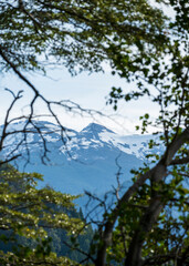 beautiful view of the mountain through the forest