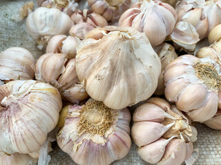 stack Garlic , shallow depth of field, selective focus, macro