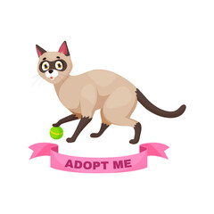 Adopt a cat, funny Siamese kitten playing with ball with pink banner adopt me. Isolated cartoon vector shelter promotion to help feline animals finding owner. Cute playful homeless kitty character