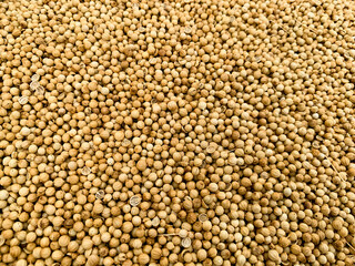 bunch of dried coriander seeds (Coriandrum sativum) closeup background texture